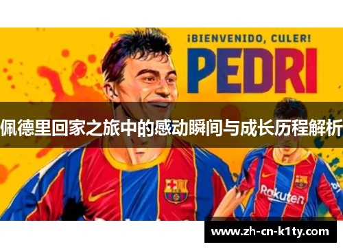 佩德里回家之旅中的感动瞬间与成长历程解析
