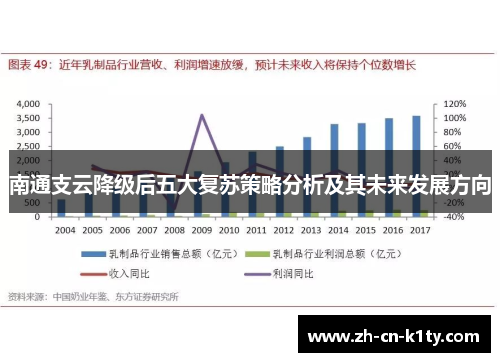 南通支云降级后五大复苏策略分析及其未来发展方向