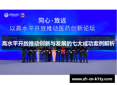 高水平开放推动创新与发展的七大成功案例解析