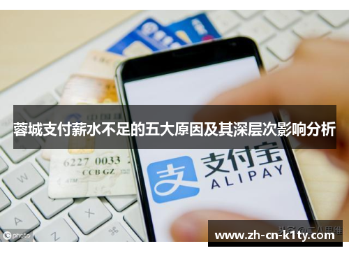 蓉城支付薪水不足的五大原因及其深层次影响分析