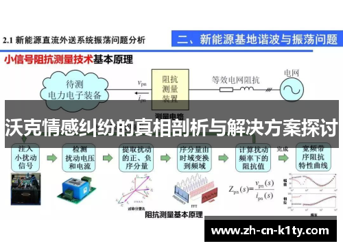 沃克情感纠纷的真相剖析与解决方案探讨
